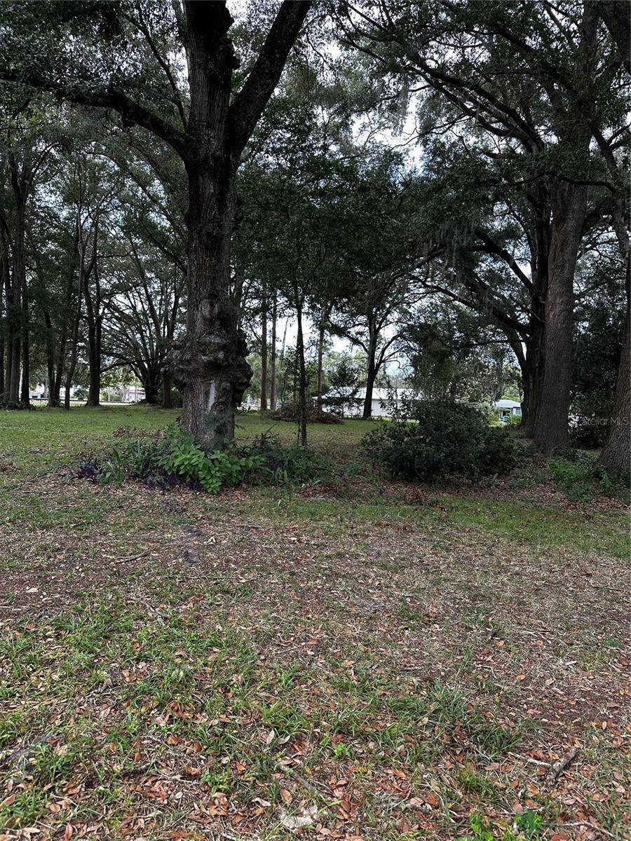 Newberry, FL 32669,0000 SW 252 ST