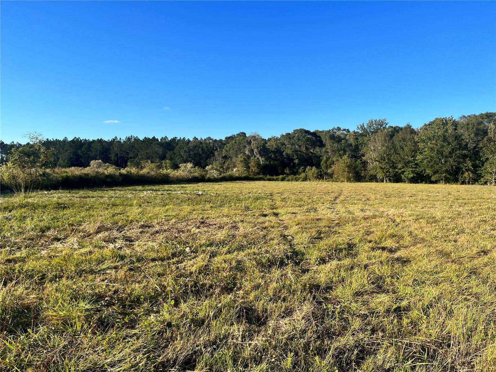 Lawtey, FL 32058,TBD NW COUNTY ROAD 225