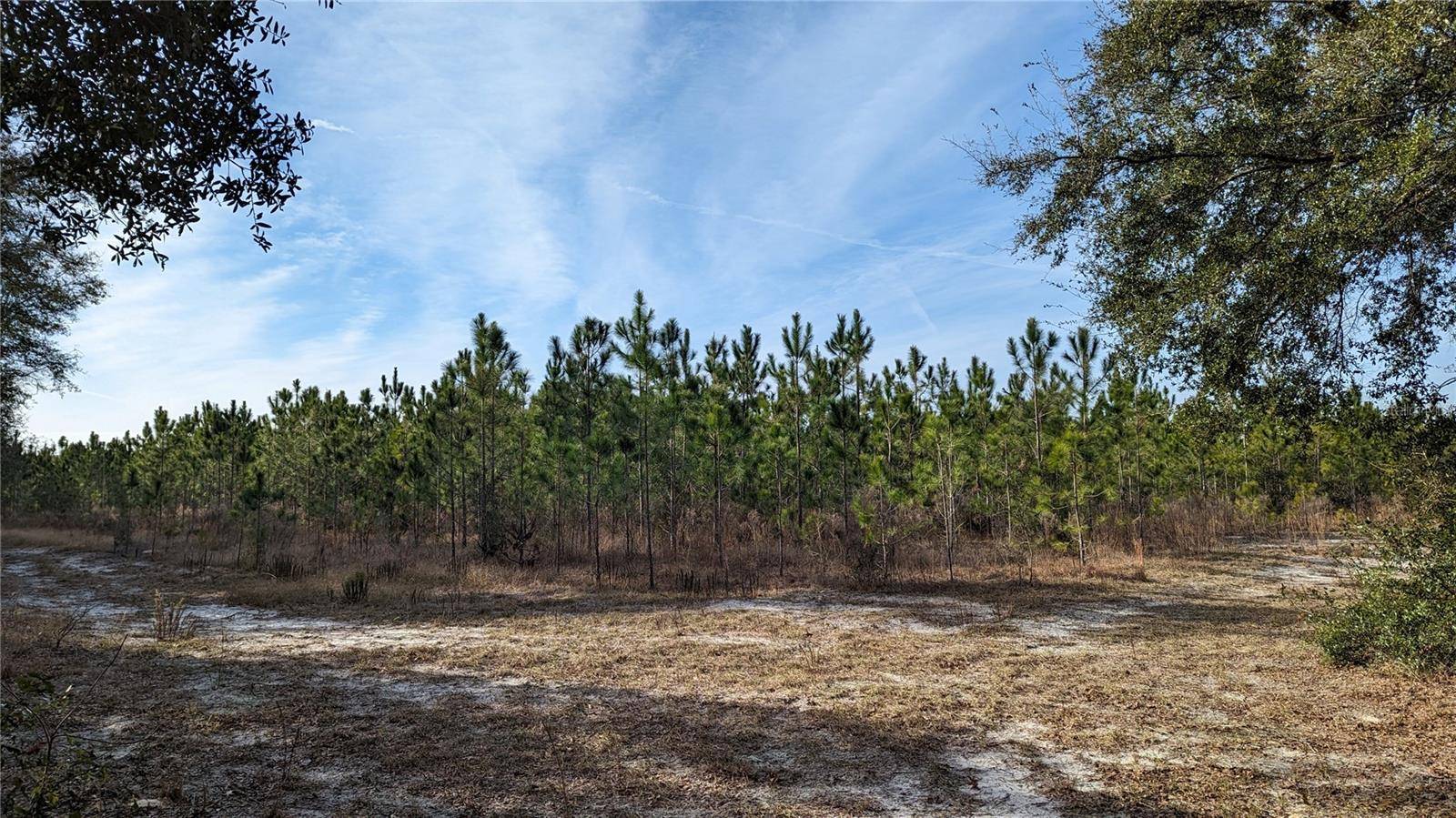 High Springs, FL 32643,40 ac OFF DIXIE (NE 30TH ST.) HWY