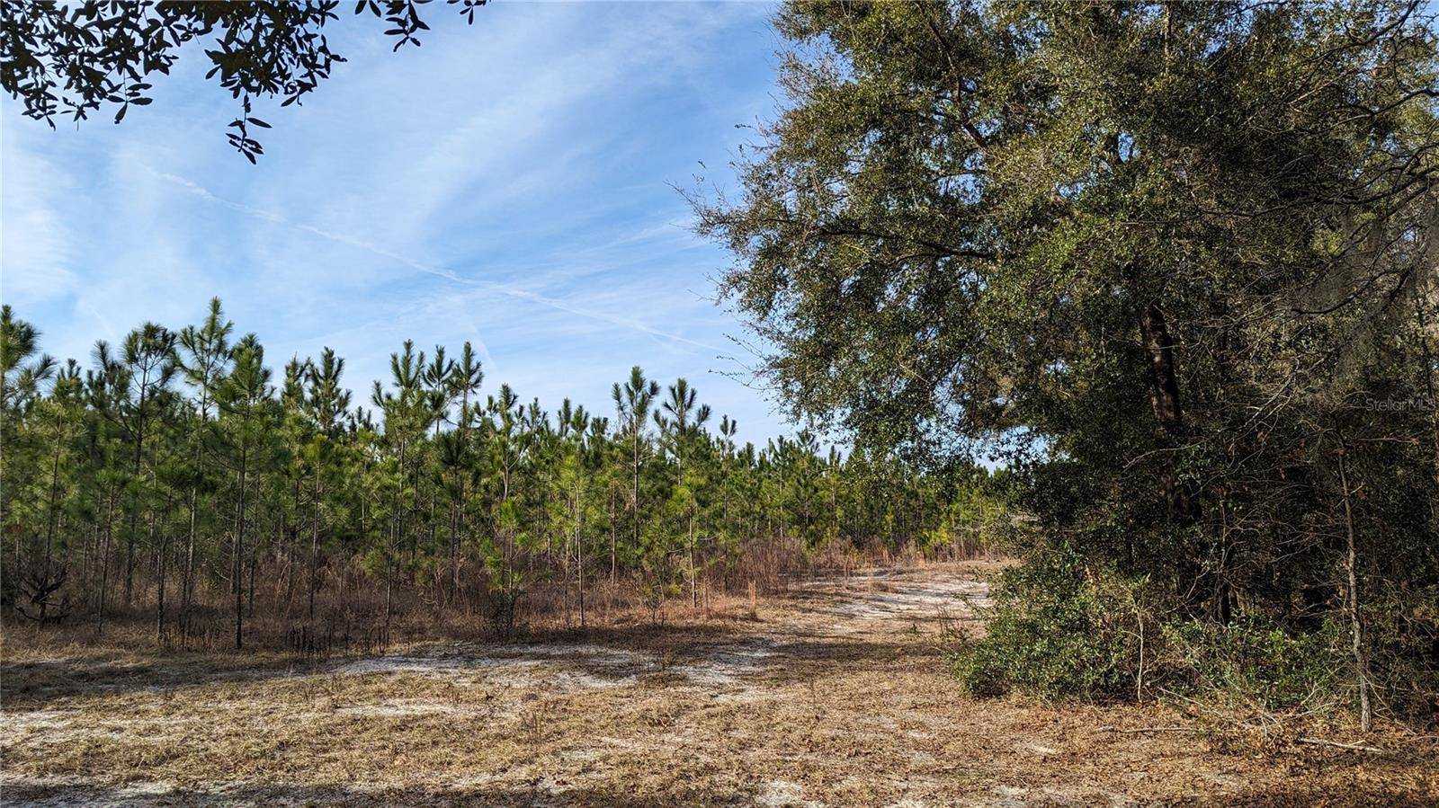 High Springs, FL 32643,64.7 ac OFF DIXIE (NE 30TH ST) HWY