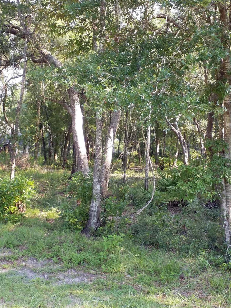 Chiefland, FL 32626,1 NW 70 CIR