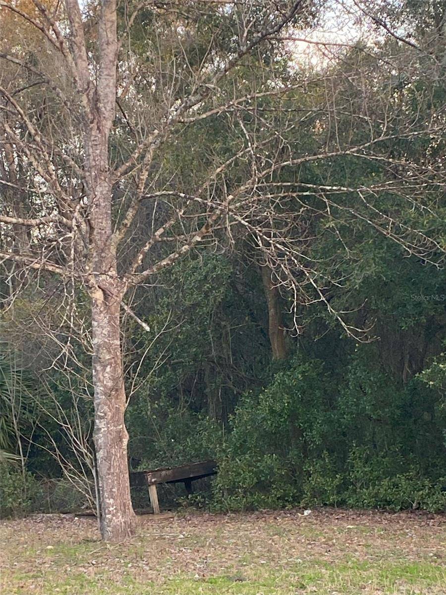 Fort White, FL 32038,254 SW JORDAN ST