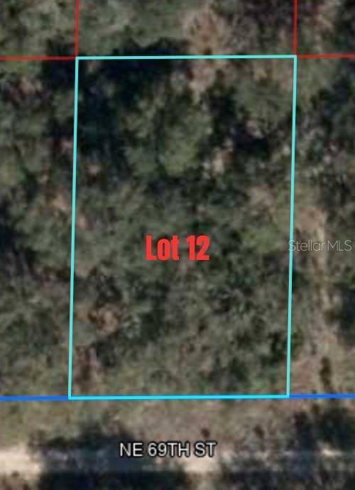 Williston, FL 32696,NE 69TH STREET