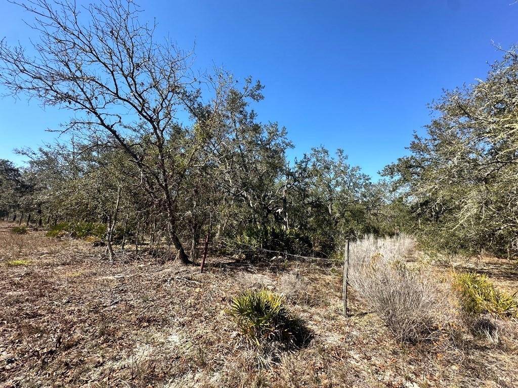 Williston, FL 32696,NE 69TH STREET