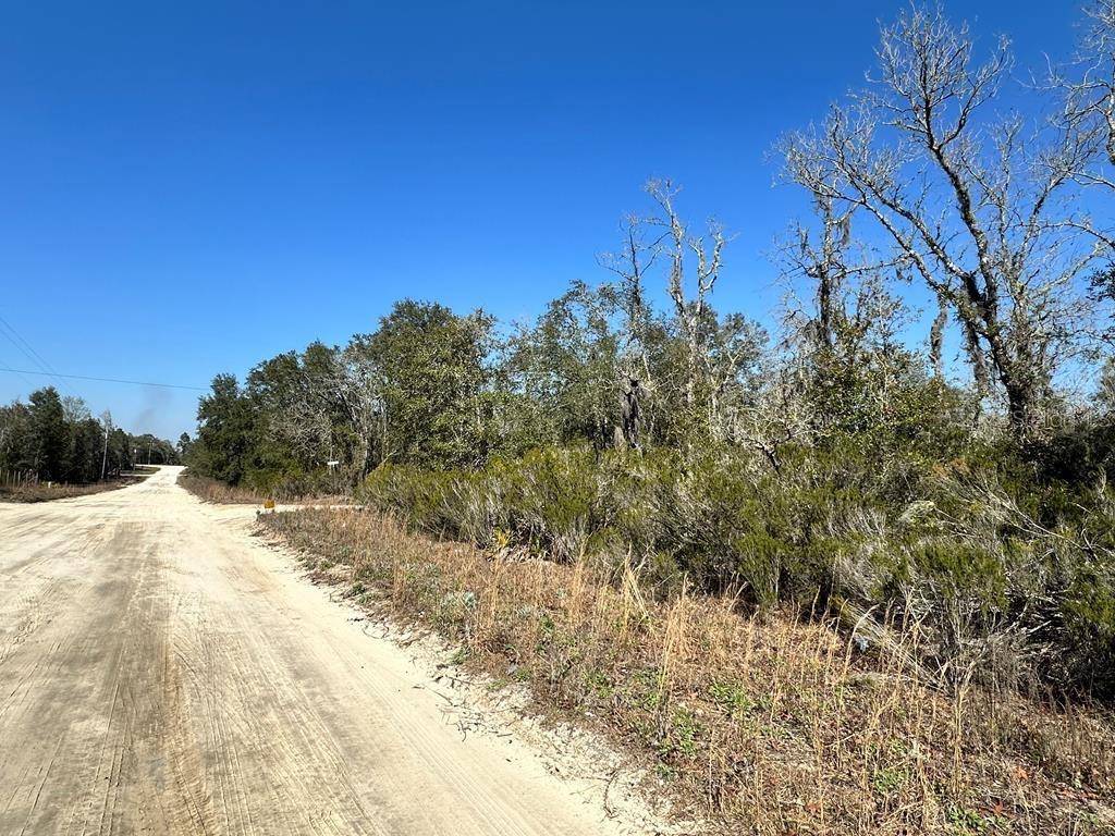Williston, FL 32696,NE 67TH LANE