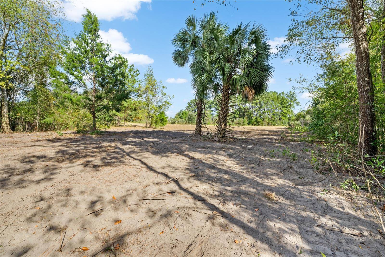 Newberry, FL 32669,TBD NW 150TH BLVD