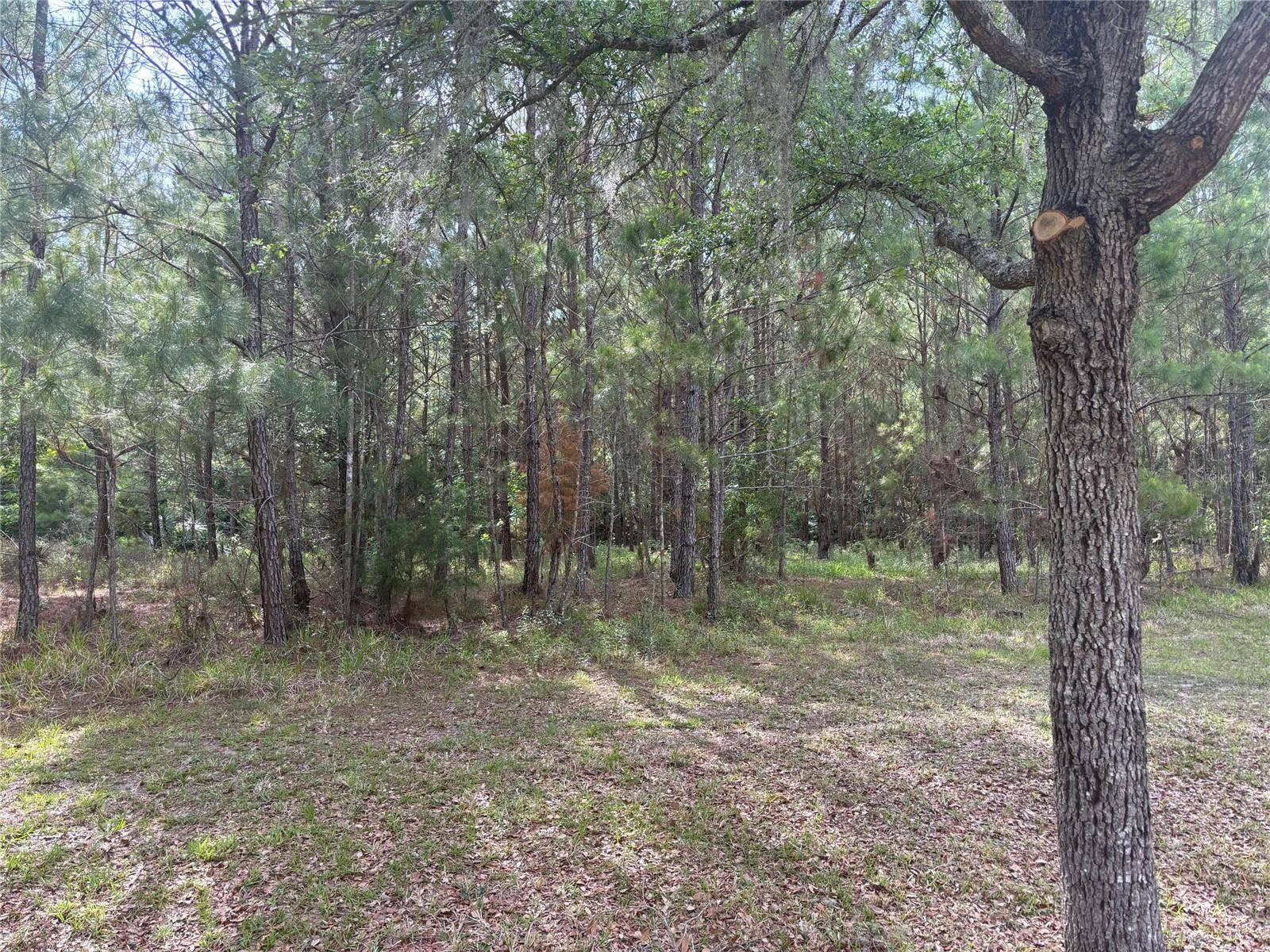 Gainesville, FL 32653,8845 NW 58TH LN