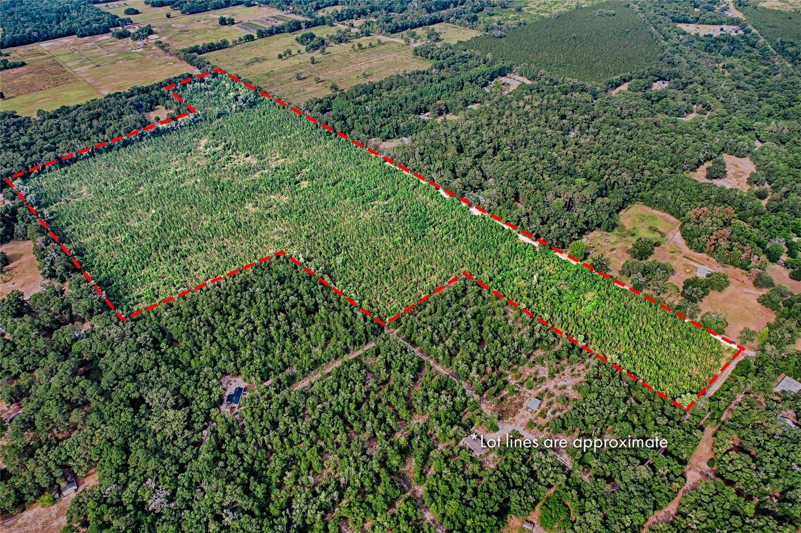 Archer, FL 32618,0 SW 120 AVE