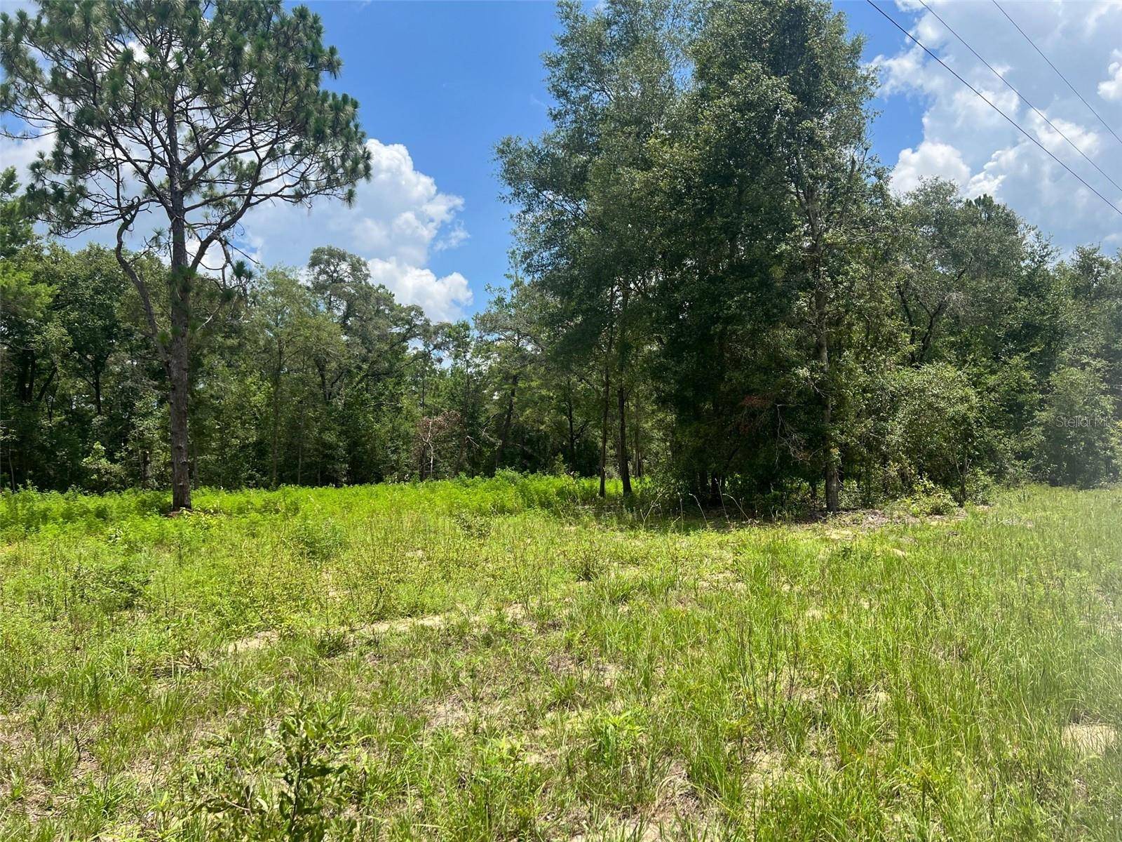 Bronson, FL 32621,TBD NE 78TH LN