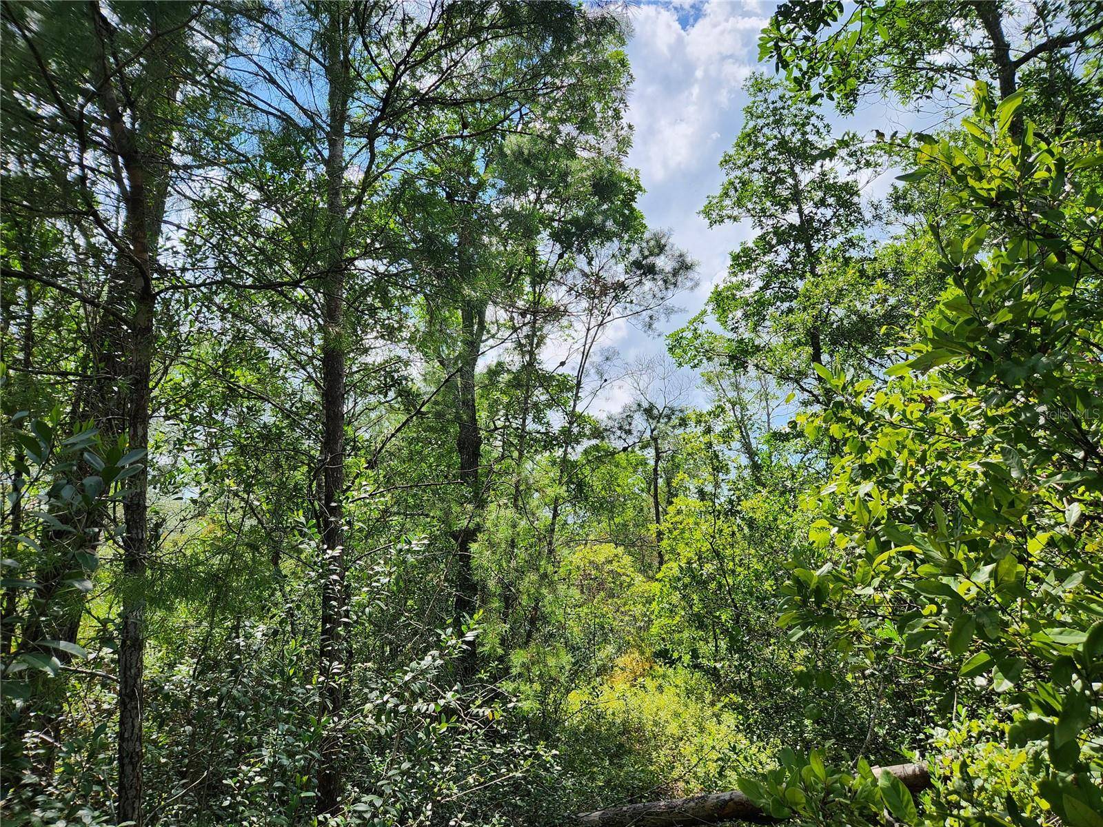 Florahome, FL 32140,131 PHILLIPS RD