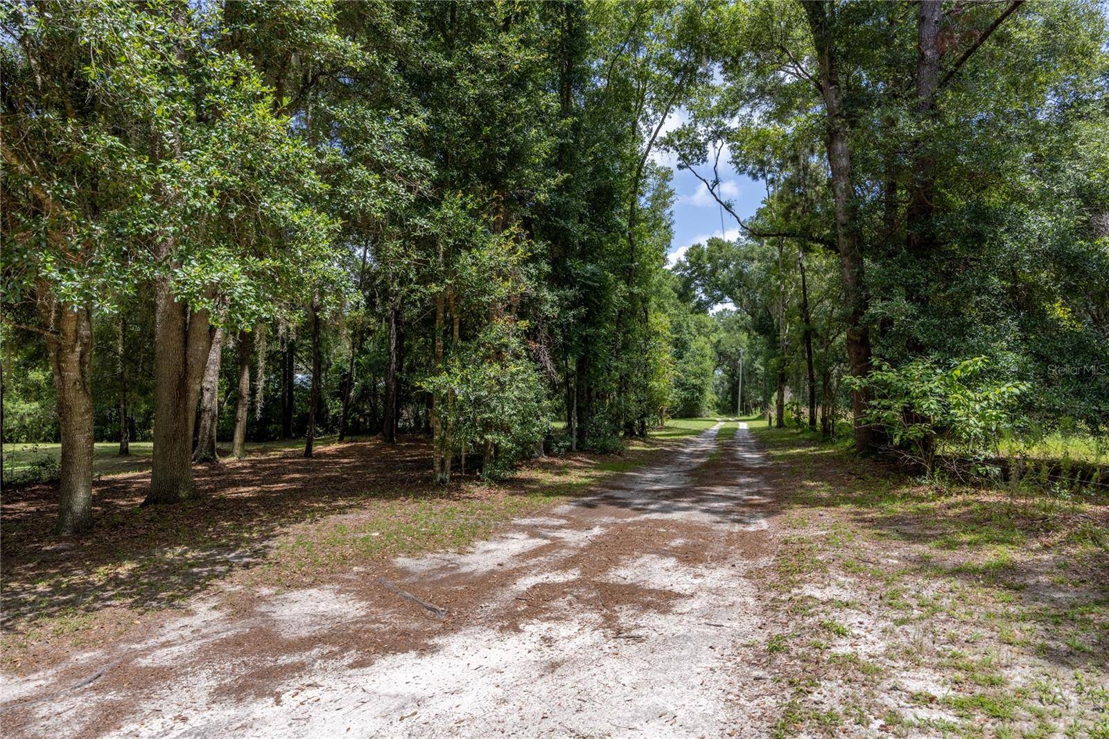 Micanopy, FL 32667,0 SW 1ST ST