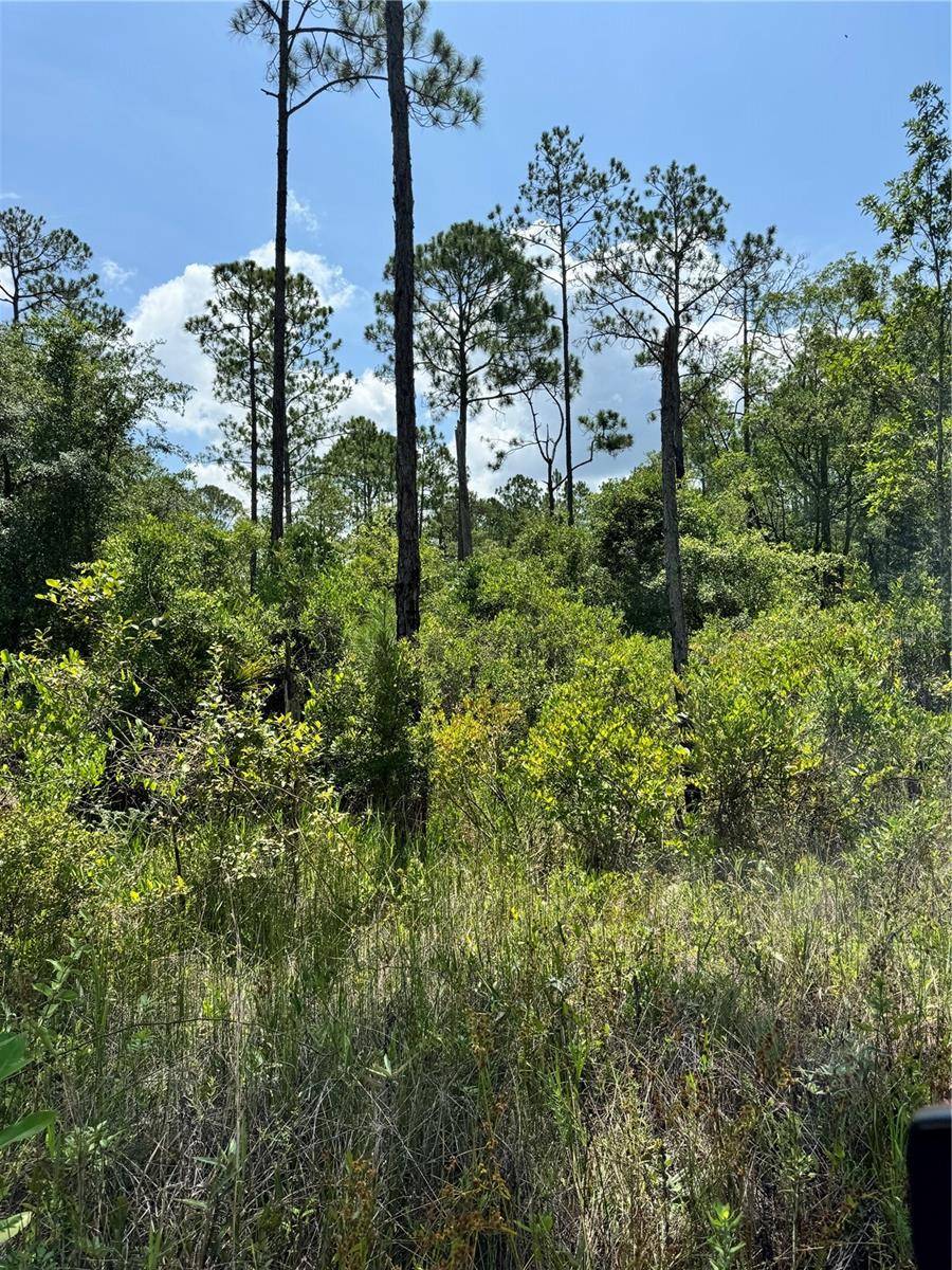 Palatka, FL 32177,706 S MAIN ST