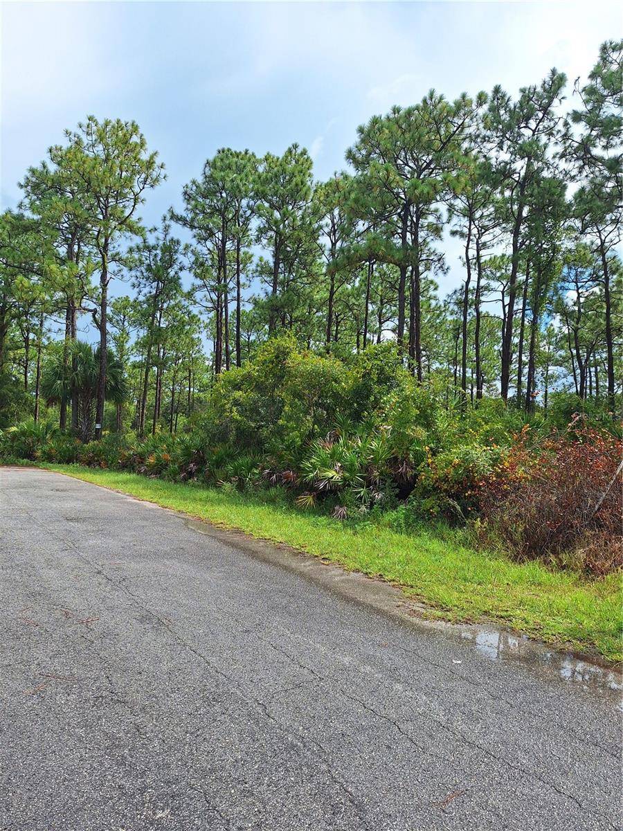 Crystal River, FL 34429,989 N RHYME PT
