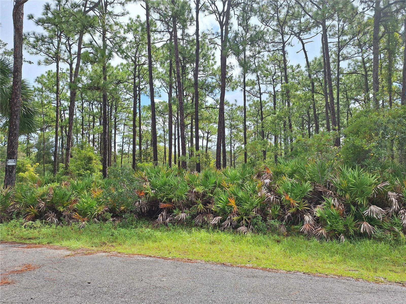 Crystal River, FL 34429,989 N RHYME PT