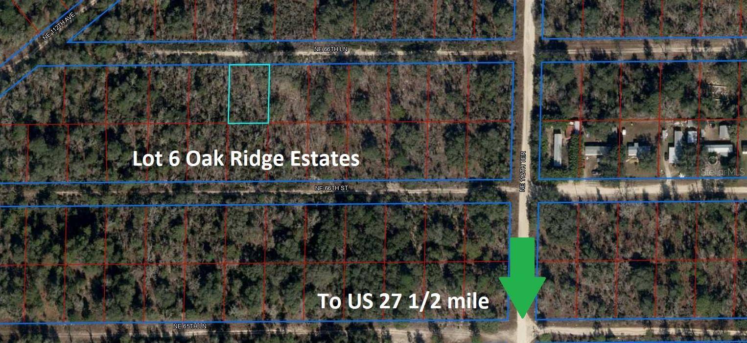 Williston, FL 32696,NE 66TH LN