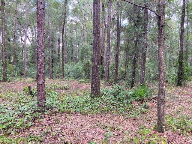 Archer, FL 32618,Lot 2 SW 170TH ST