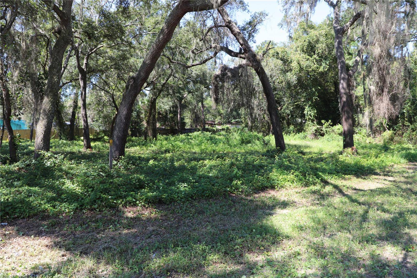 Melrose, FL 32666,8778 STATE ROAD 21
