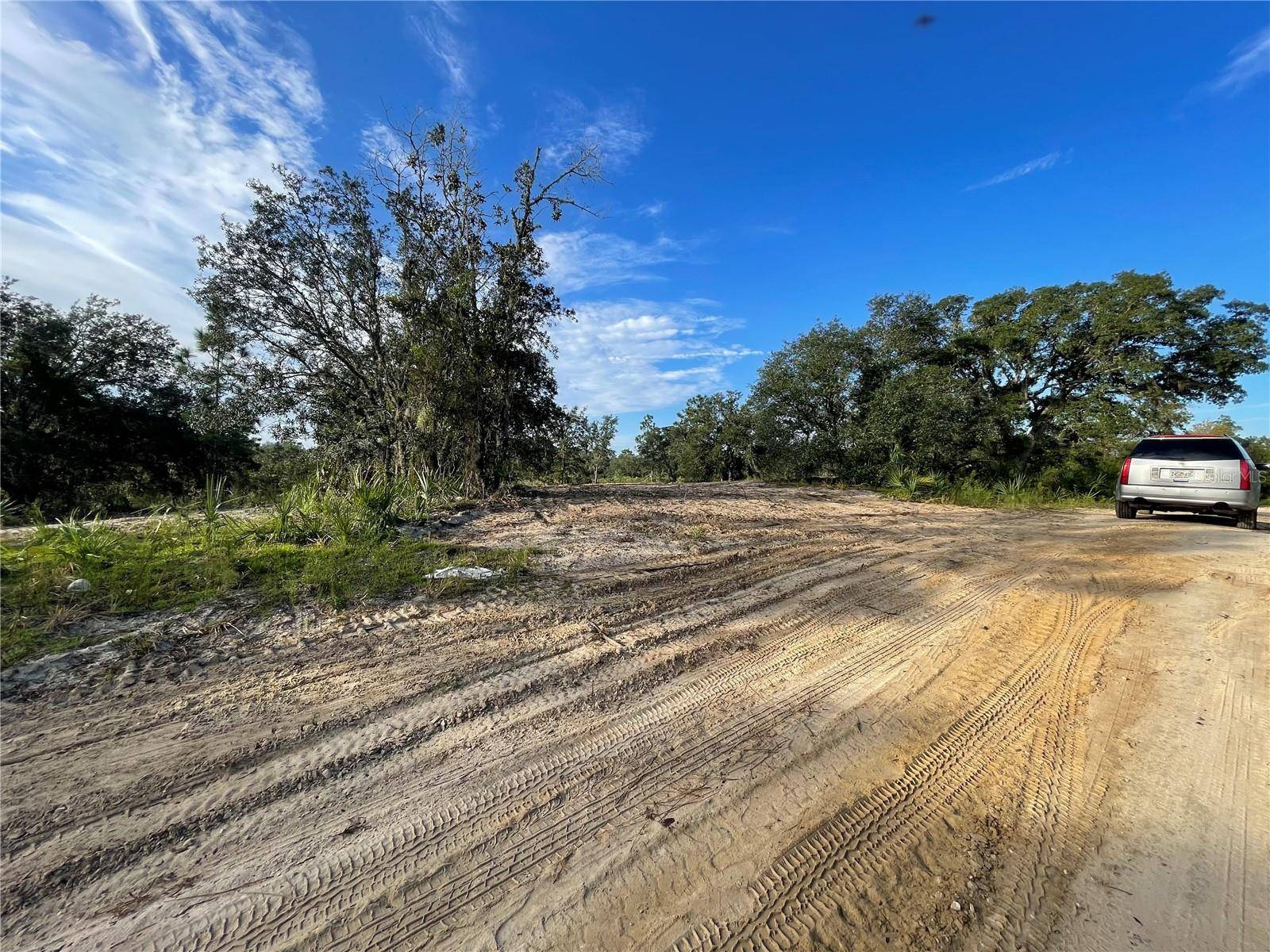 Bronson, FL 32621,000 NE 100TH TER