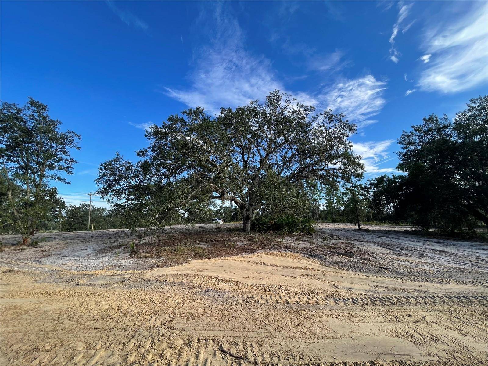 Bronson, FL 32621,000 NE 100TH TER