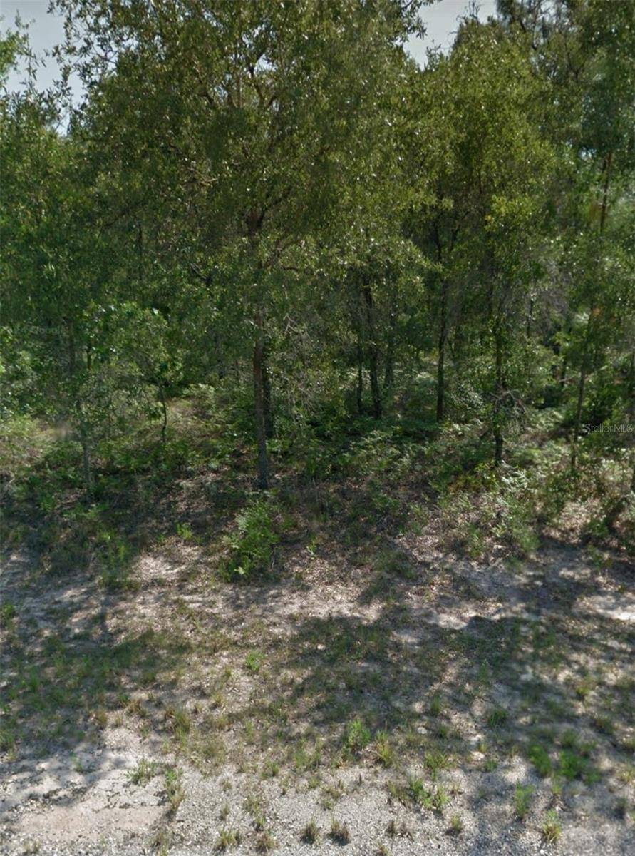 Citrus Springs, FL 34433,3193 W BARBERTON PL