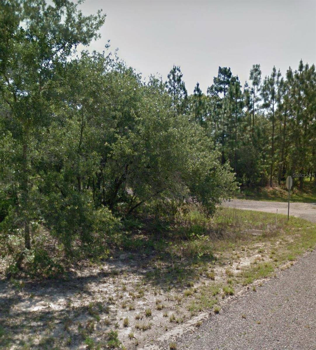 Citrus Springs, FL 34433,3193 W BARBERTON PL