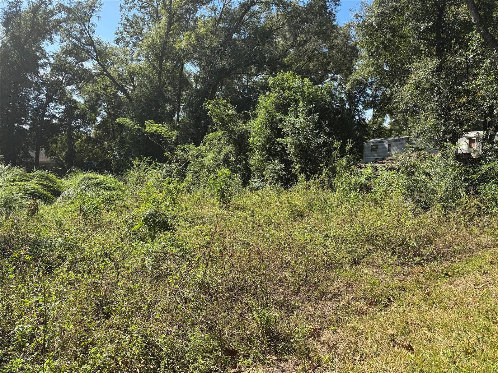 Summerfield, FL 34491,3724 SE 139TH LN