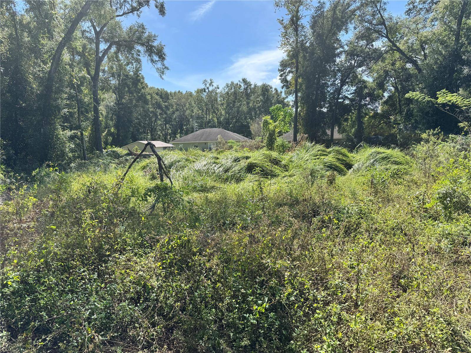 Summerfield, FL 34491,3724 SE 139TH LN