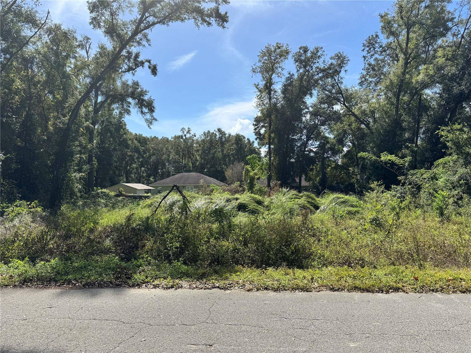 Summerfield, FL 34491,3724 SE 139TH LN