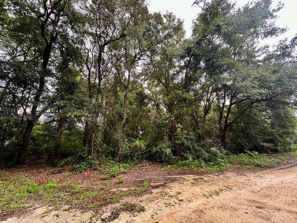 Chiefland, FL 32626,NW 76TH TERRACE