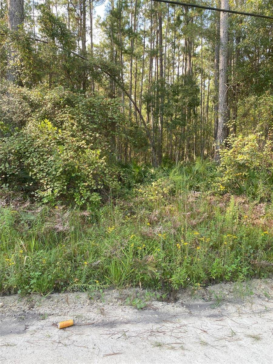 Waldo, FL 32694,0000 NE 160TH AVE