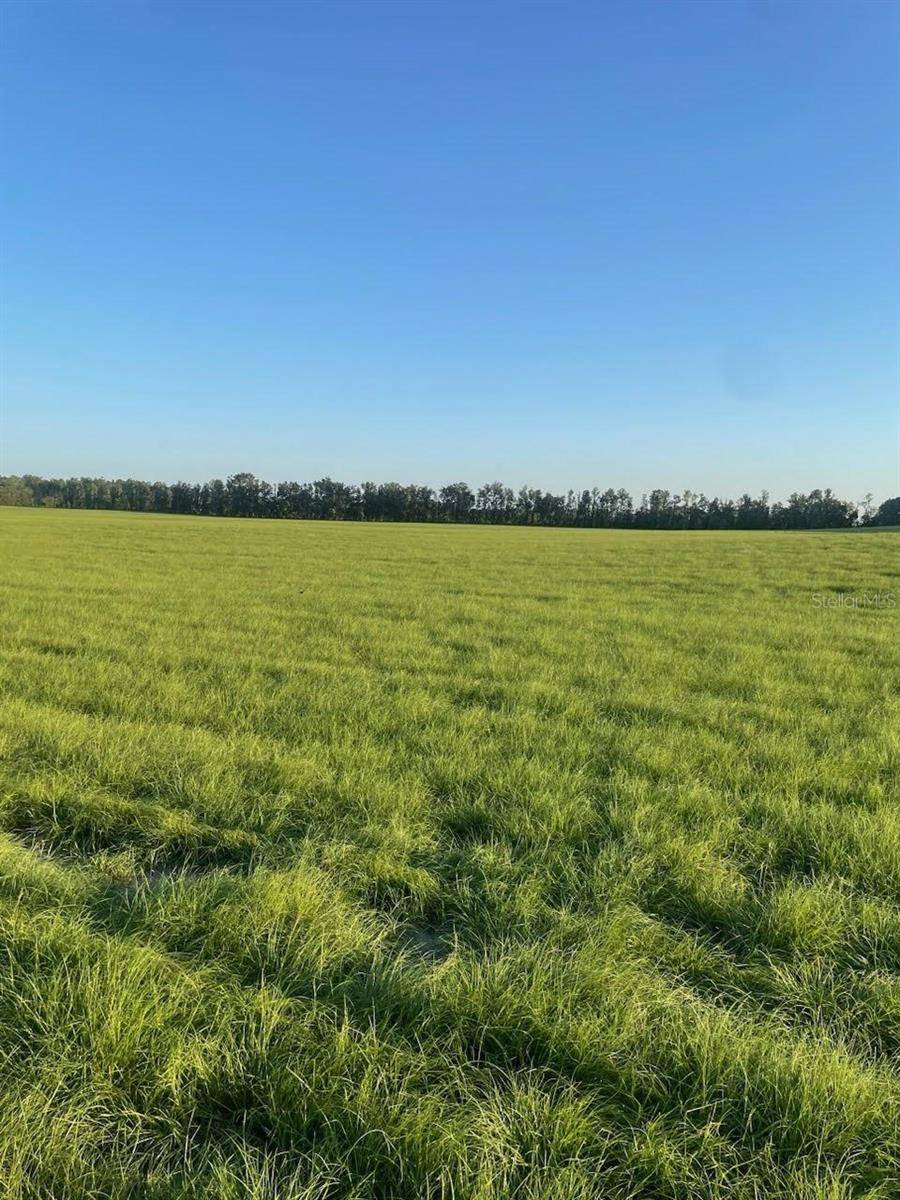 Bell, FL 32619,LOT 1 NW 72 PL