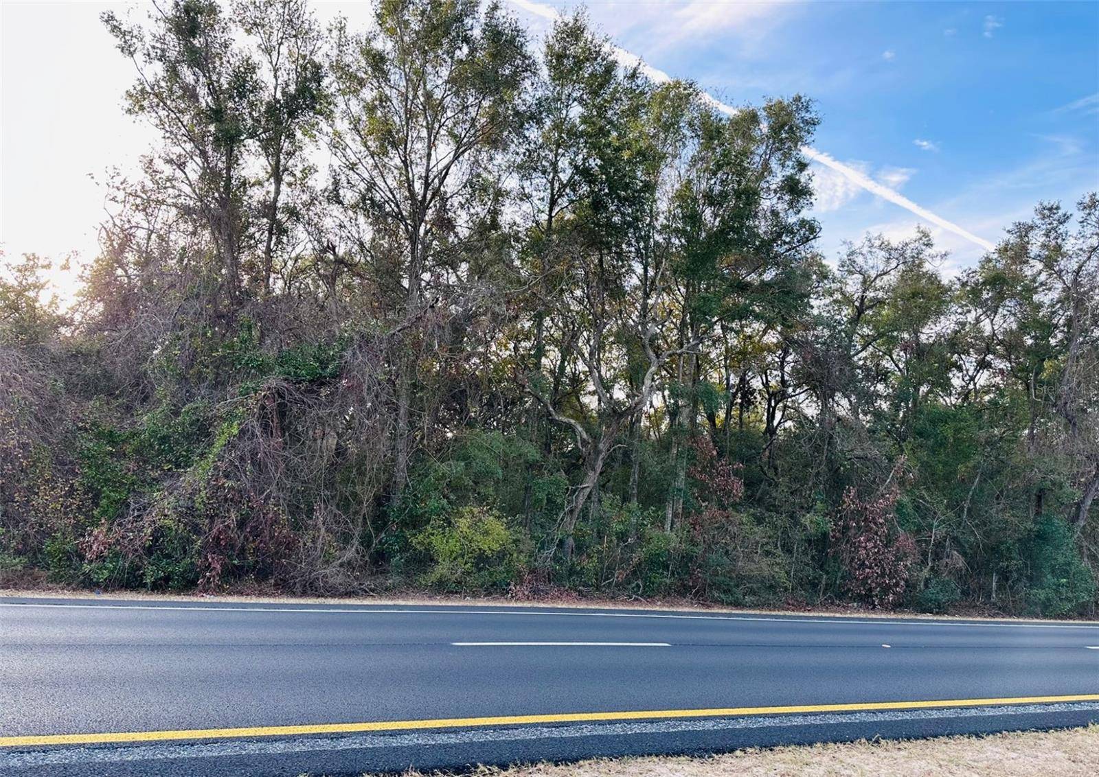 Chiefland, FL 32626,0 NW HIGHWAY 19