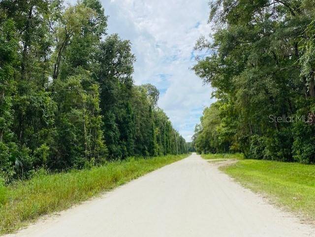 Old Town, FL 32680,0 NE 756 ST