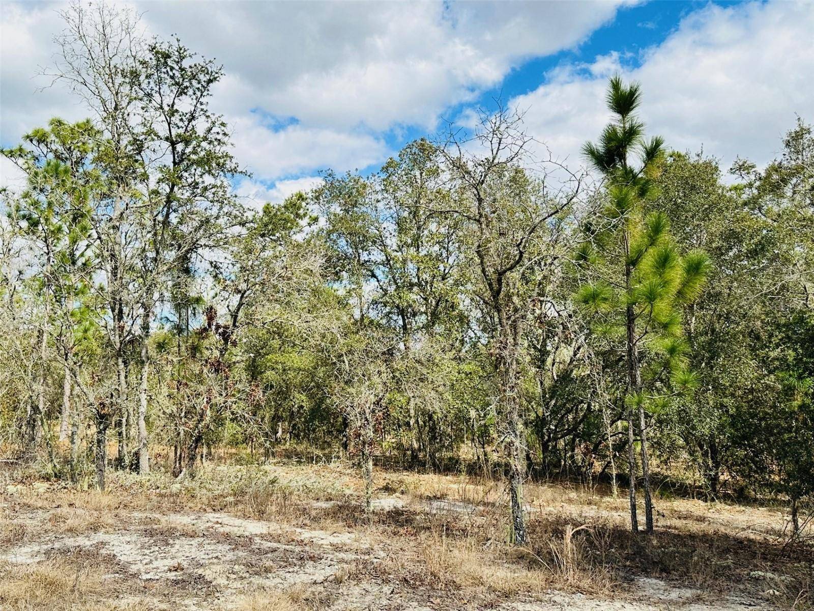 Dunnellon, FL 34431,0 SW WINDING HILLS RD