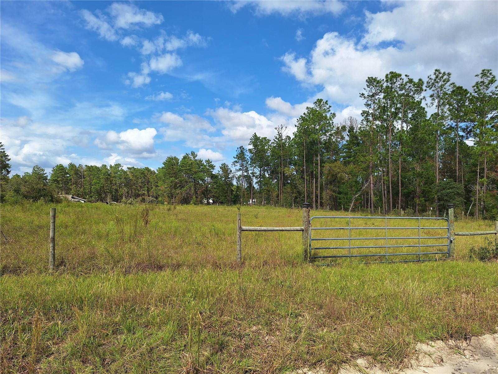 Williston, FL 32696,0000 SE 8TH ST