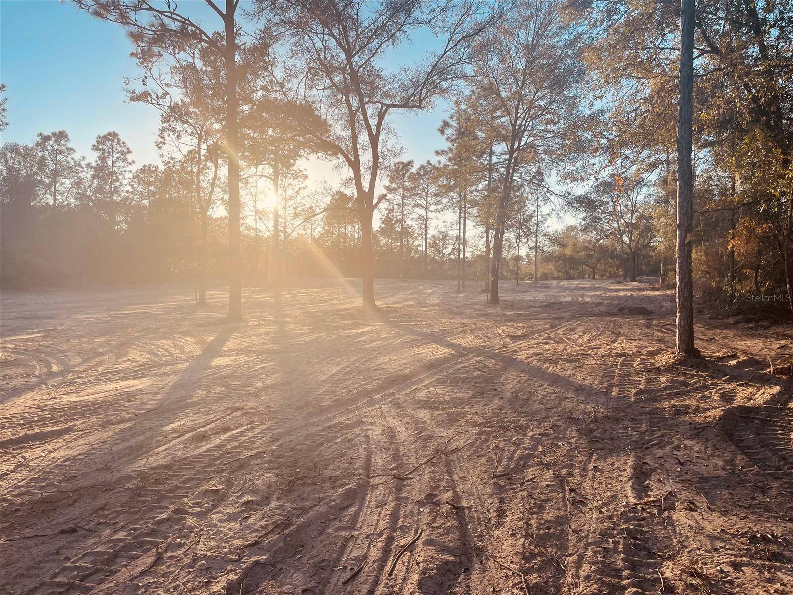 Bronson, FL 32621,000 NE 90 AVE