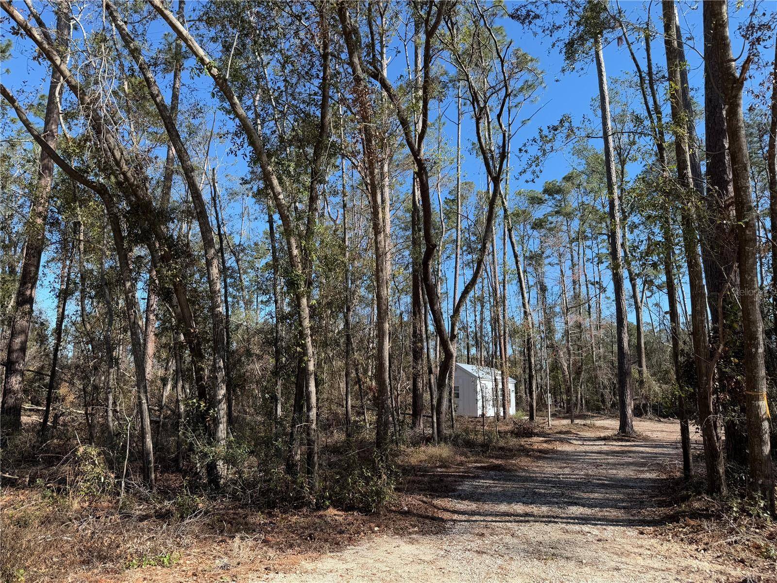 Live Oak, FL 32060,3678 205TH LN