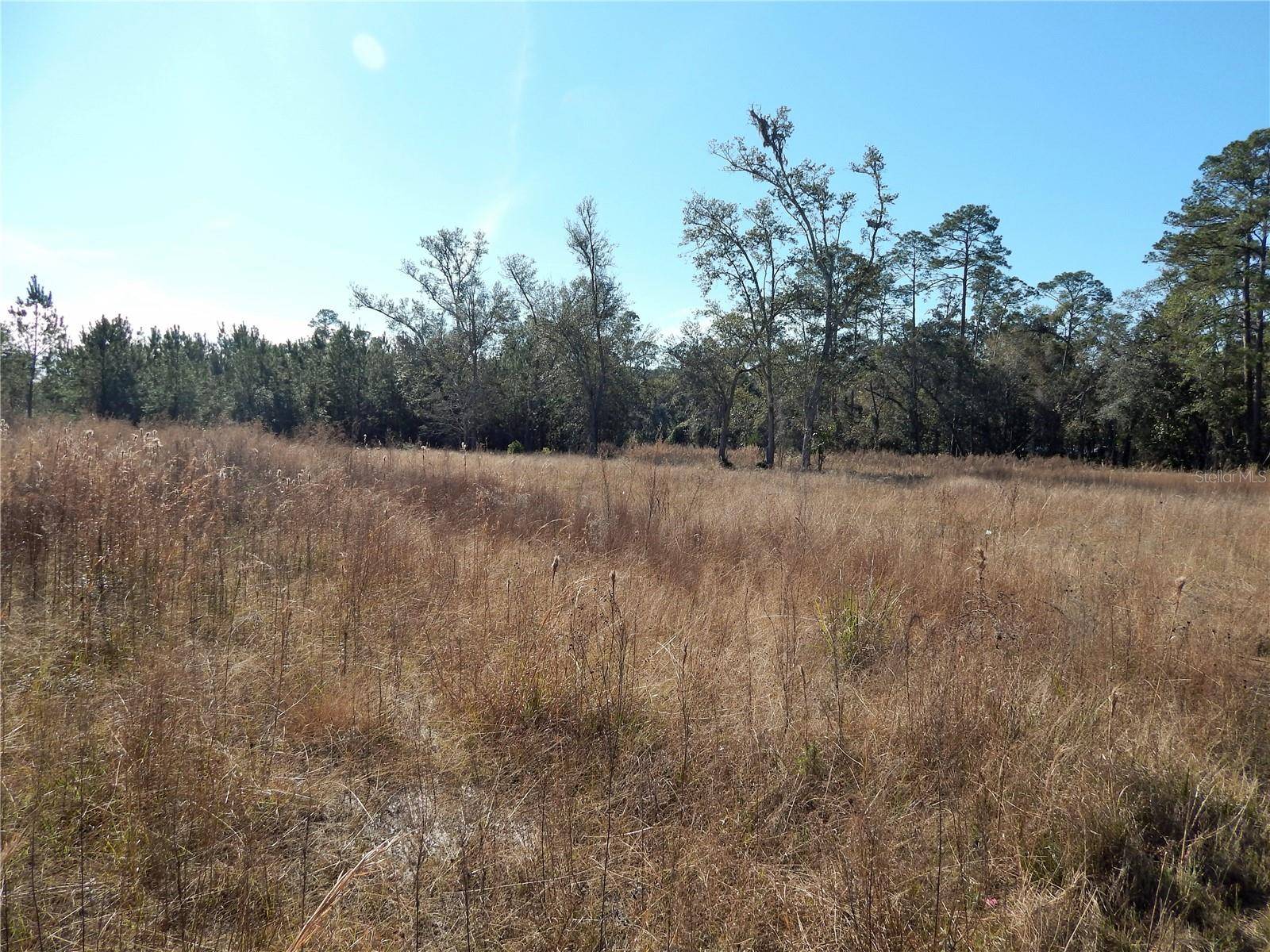 Lake City, FL 32025,00 SW COMMANDER CT