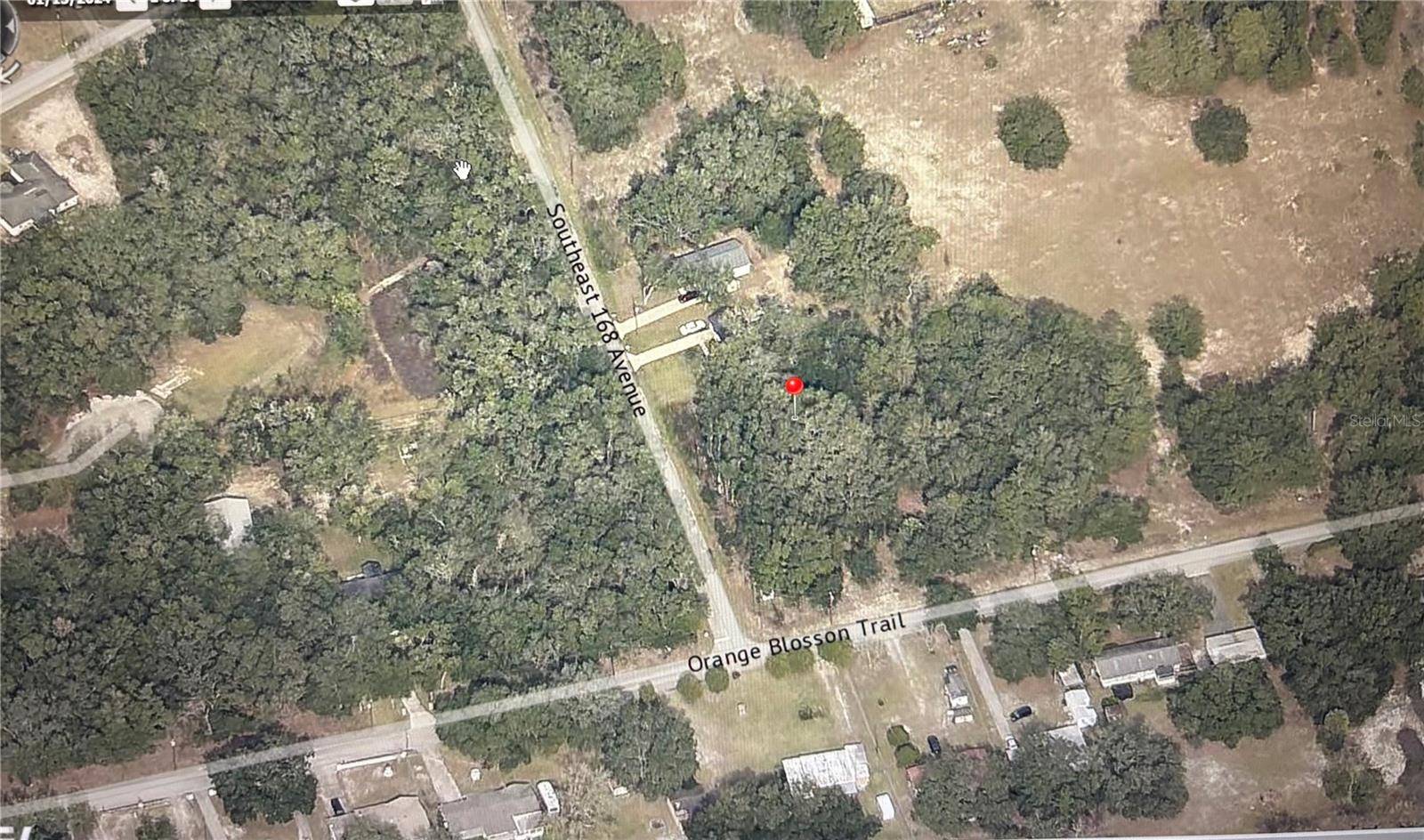 Ocklawaha, FL 32179,TBD 39430-32-025 SE 168 AVE