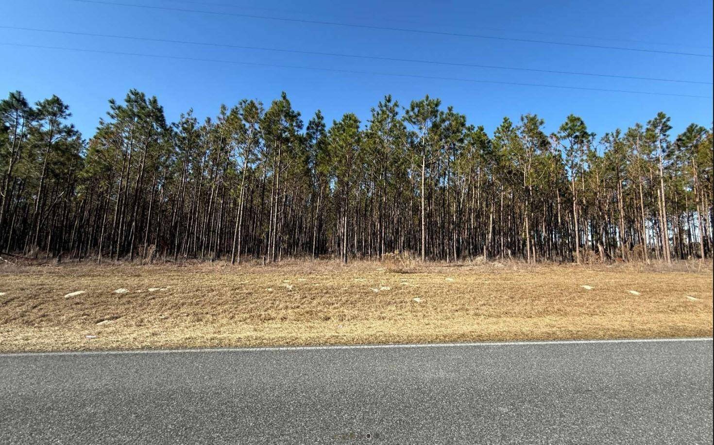 Mayo, FL 32066,NW COUNTY ROAD 251