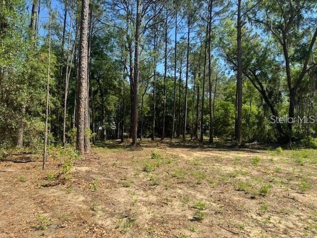 Bronson, FL 32621,TBD NE 78TH LN