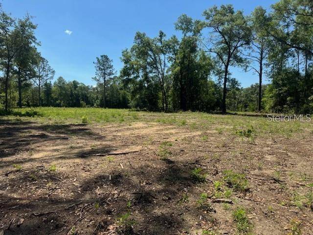 Bronson, FL 32621,TBD NE 78TH LN