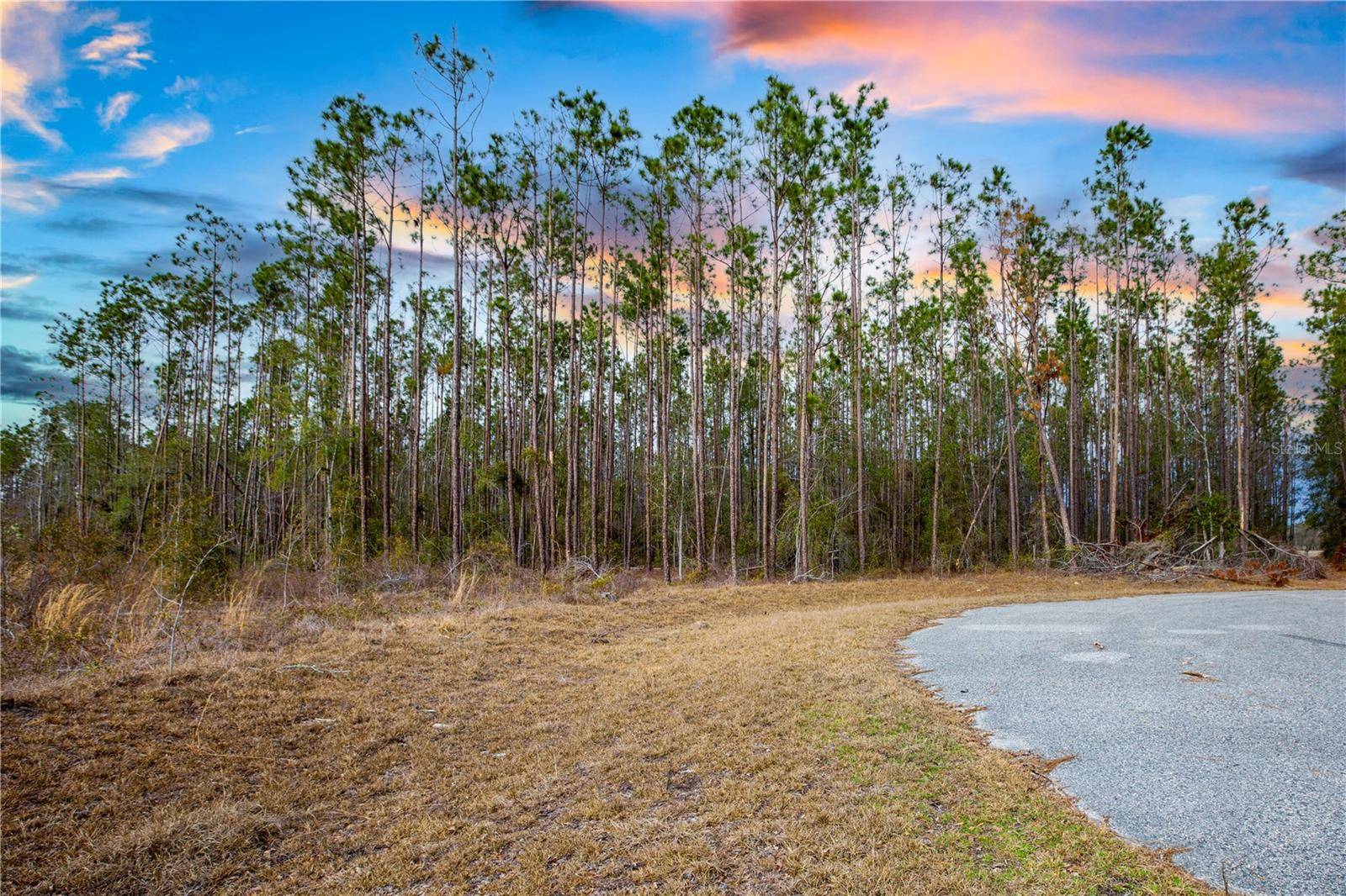 Live Oak, FL 32060,211TH CT