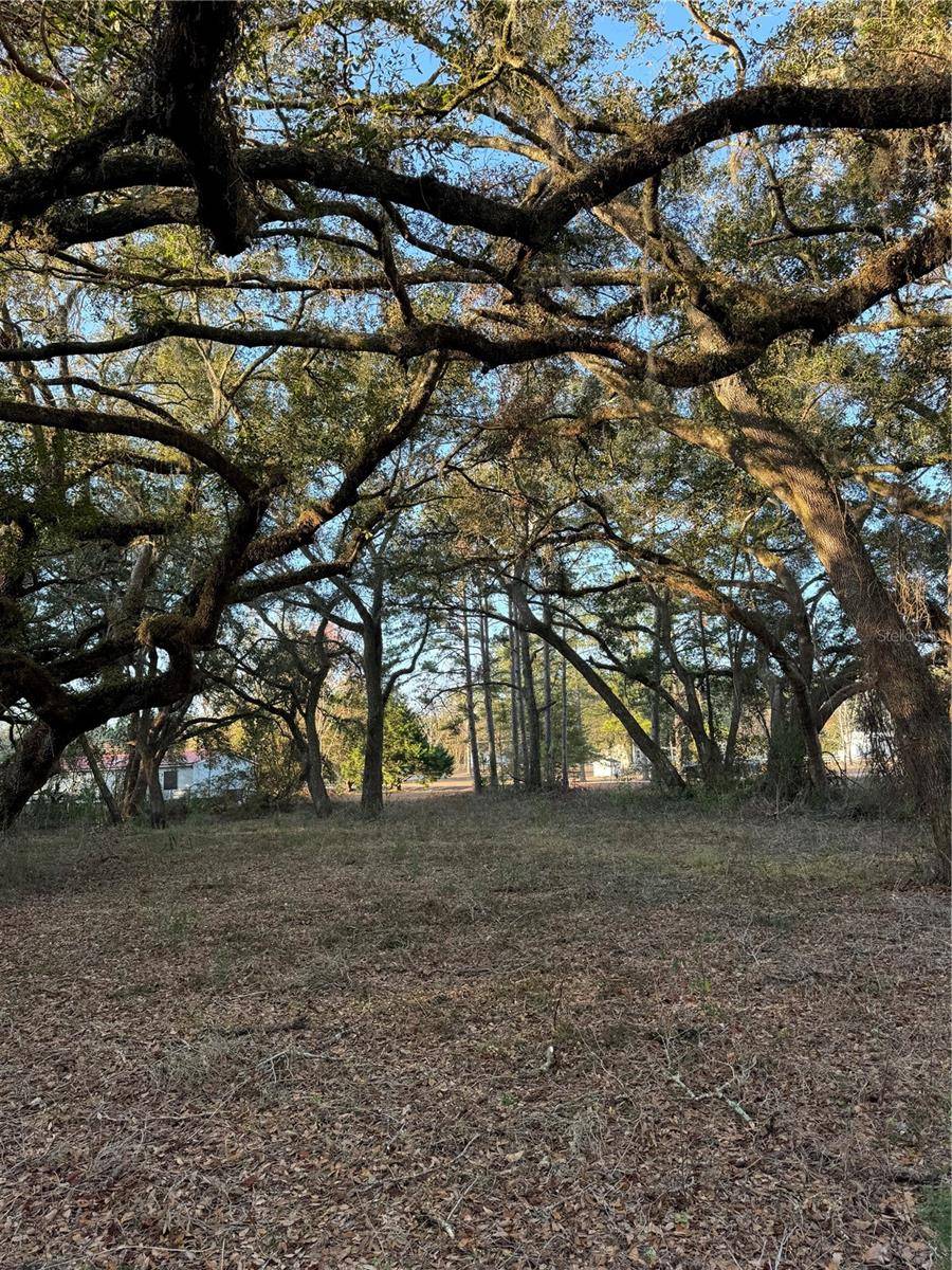 Lake City, FL 32025,SW LYNNWOOD AVE