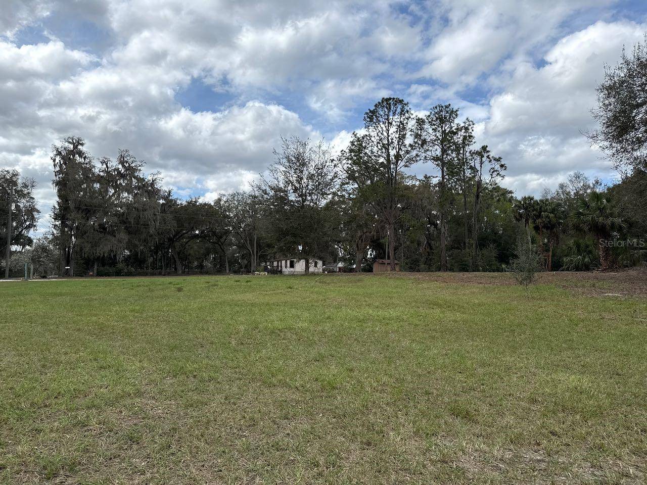 Citra, FL 32113,000 NE 184TH PL