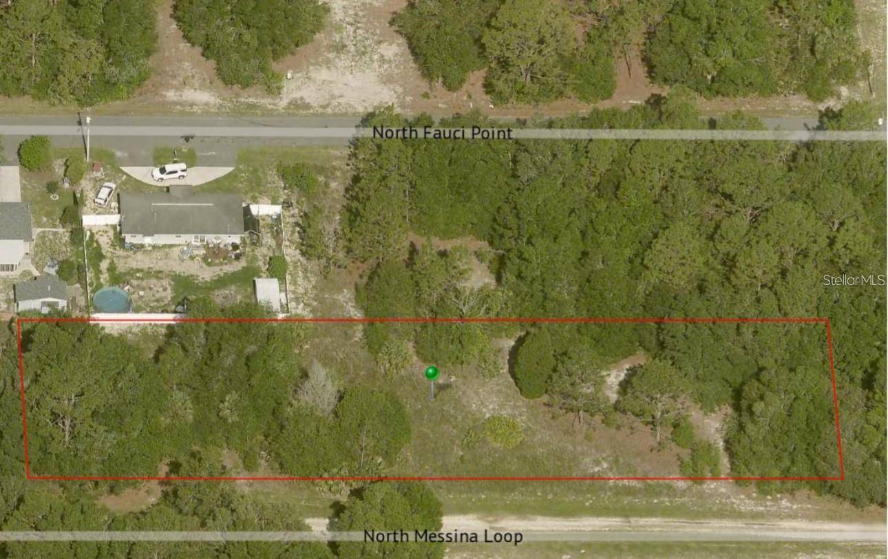 Crystal River, FL 34428,8634 N MESSINA LOOP