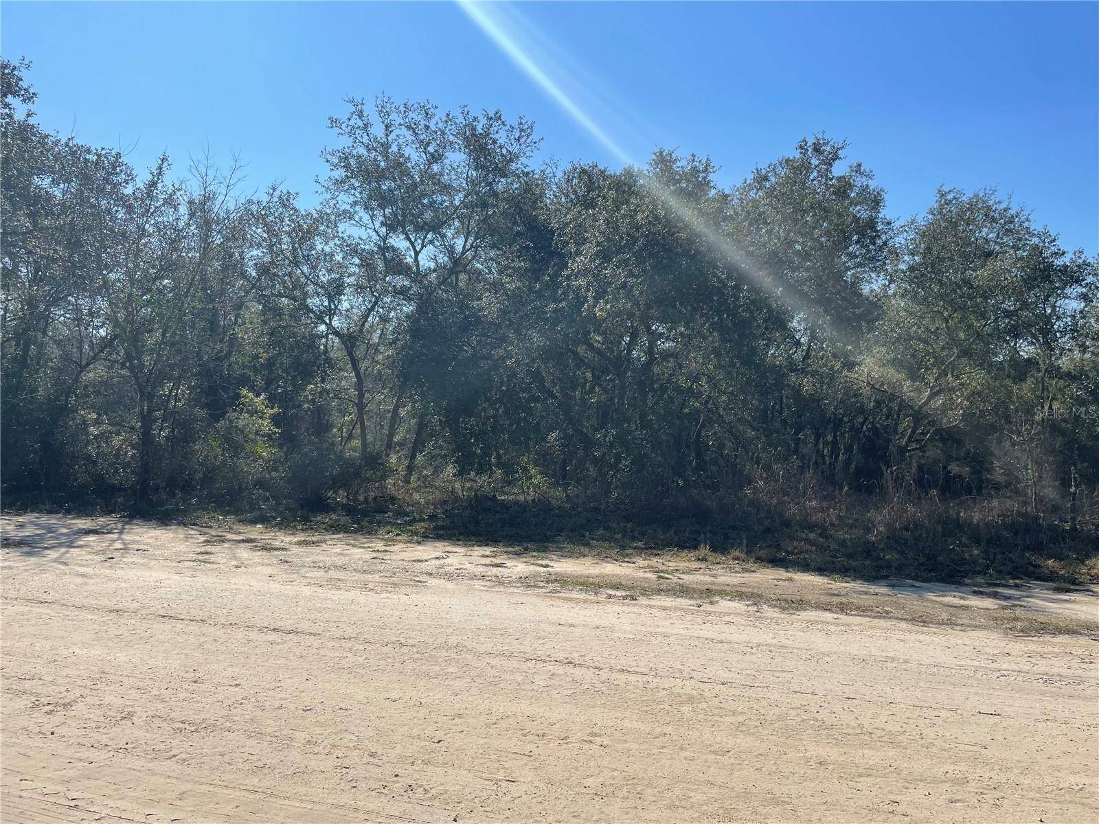 Bronson, FL 32621,000 NE 93RD LN