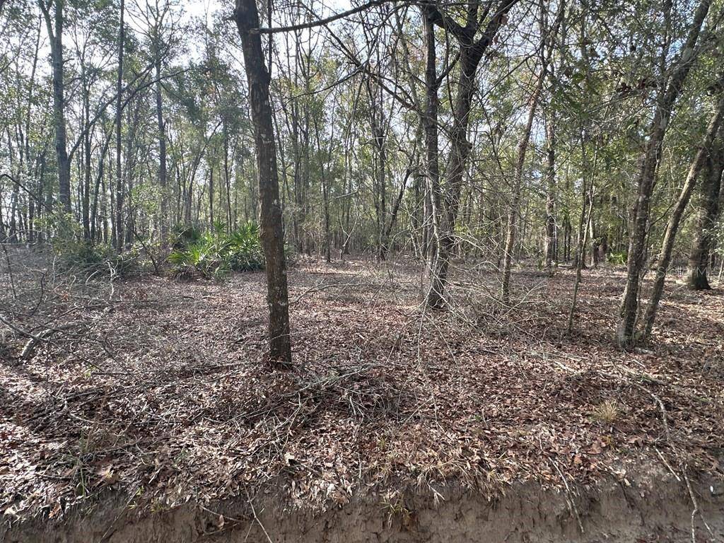 Bell, FL 32619,NW 72ND CT