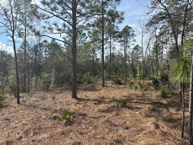 Bell, FL 32619,NW COUNTY ROAD 236