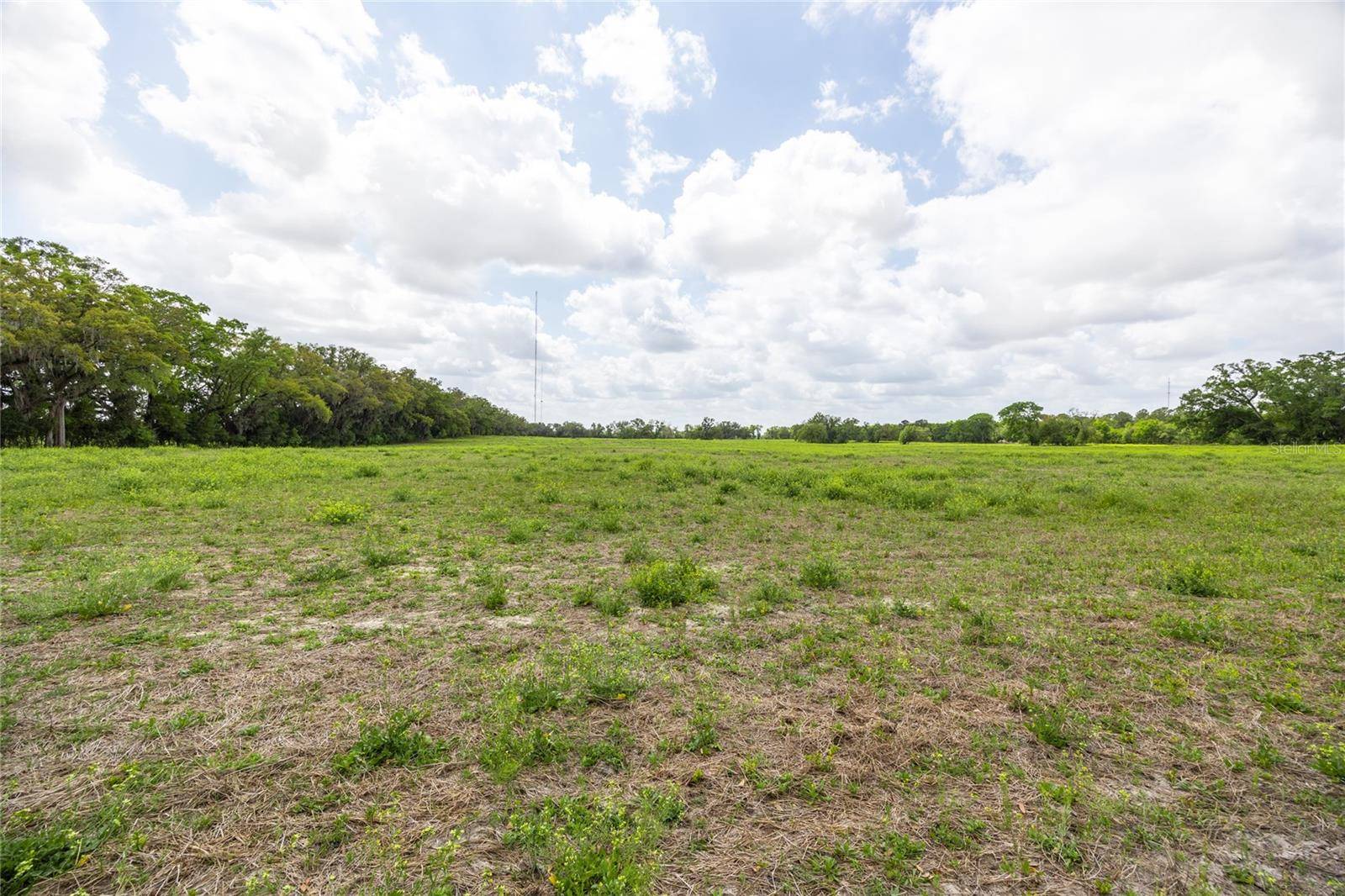 Newberry, FL 32669,TBD SW 220TH DR